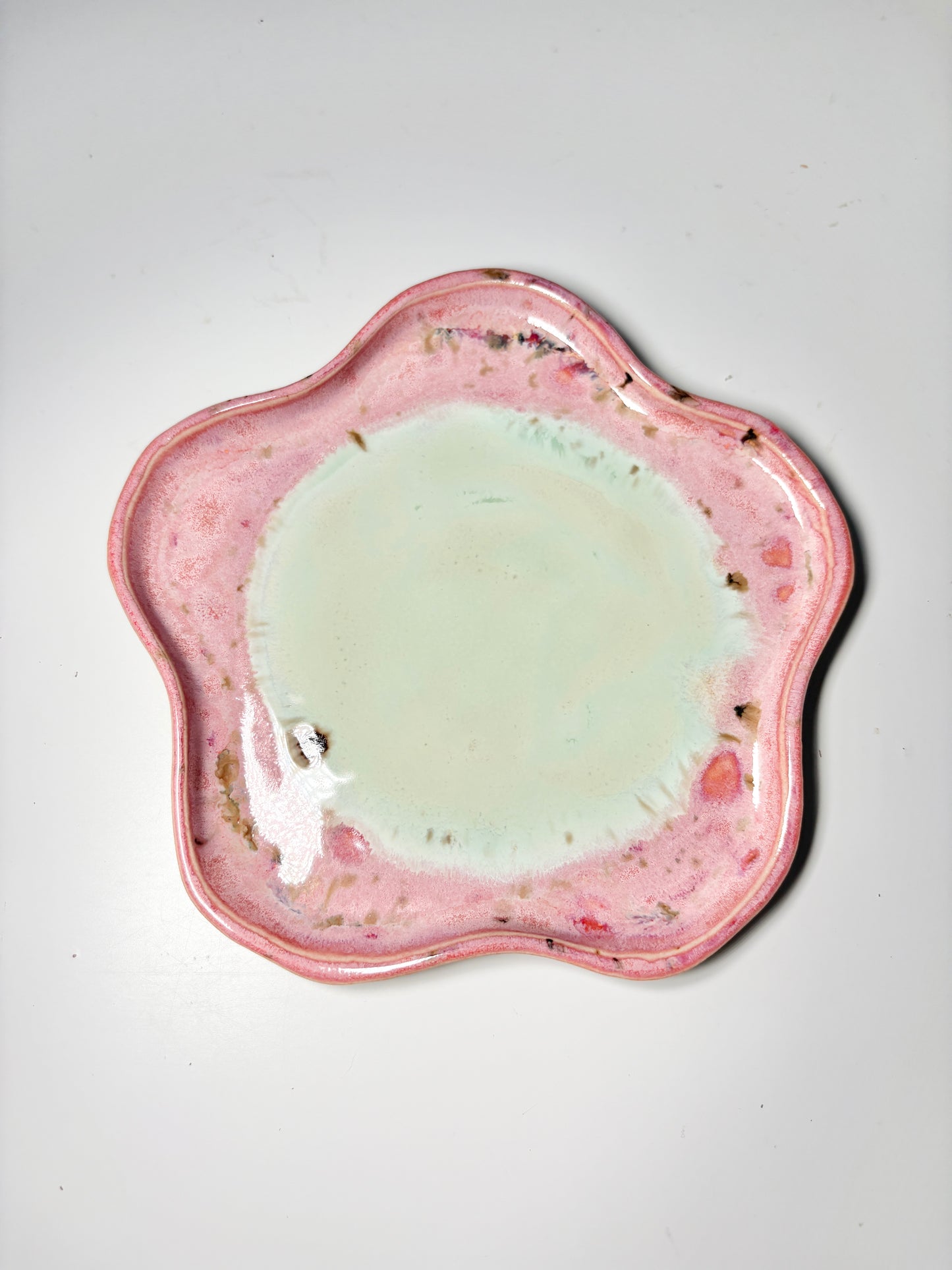 Matcha Malinowa- kolekcja