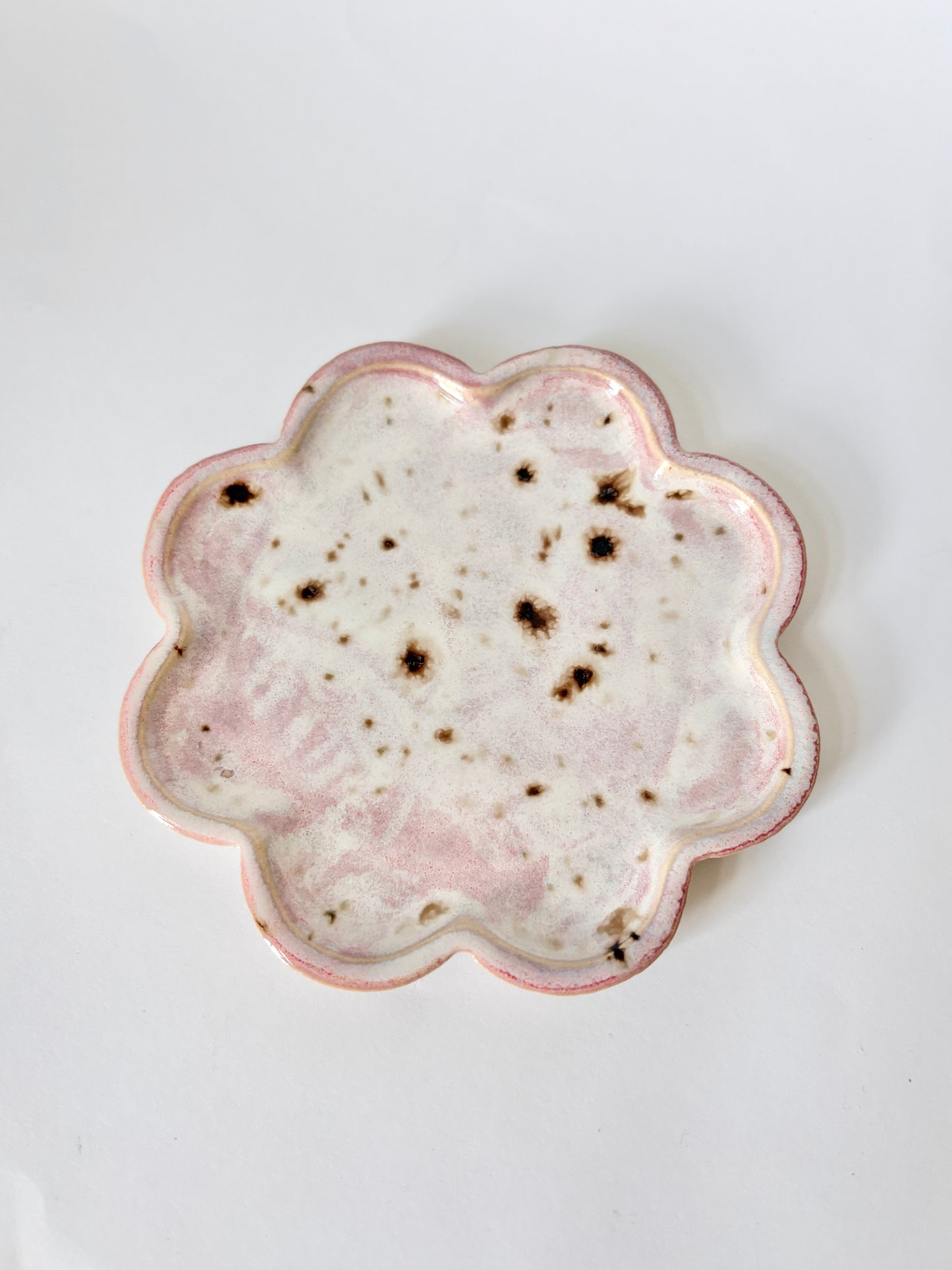 Panna cotta - nowość!